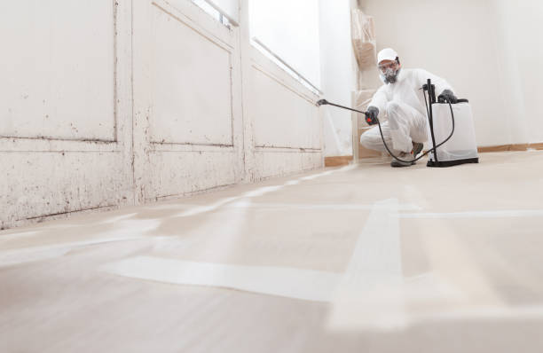 24/7 Emergency Black Mold Remediation experts in White Plains, NC